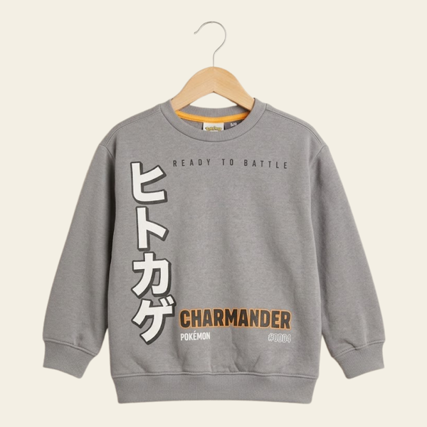 Boys' Character Graphic Fleece Sweatshirt - Grey