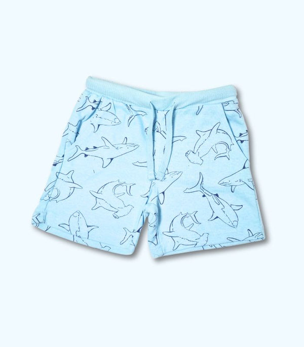 Light Blue Shot