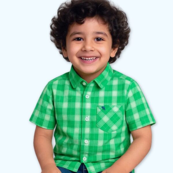 Green Checked Shirt
