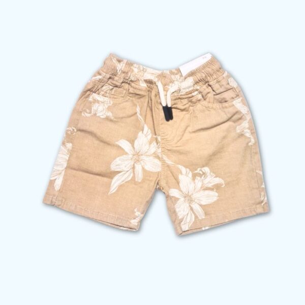 Khaki Shorts